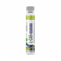 Nature Foods L-Carnitine + Guarana 4000 mg, 25 мл